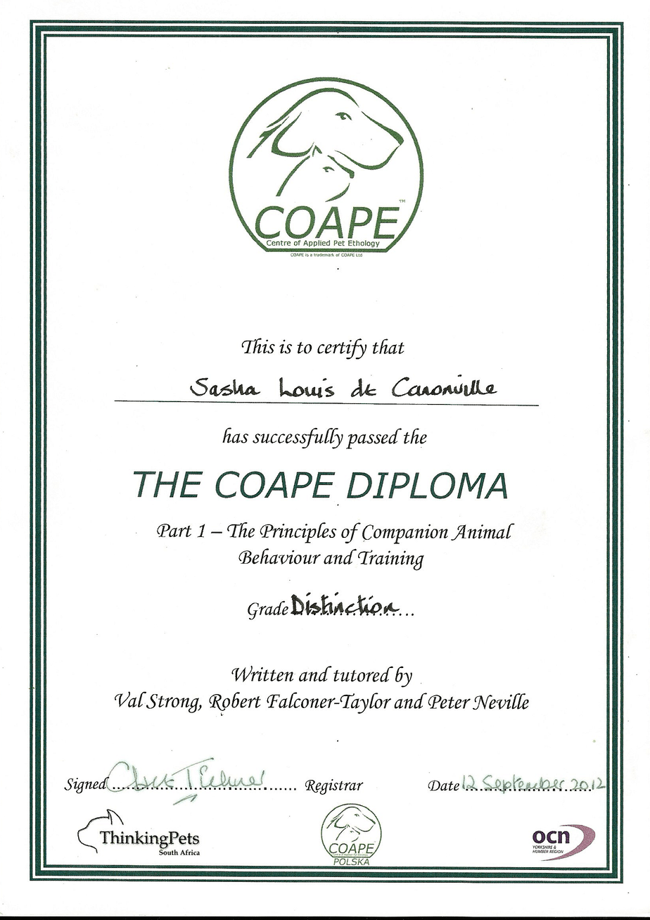 coape diploma part 1